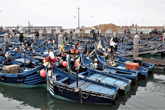 8 Days Private Morocco Adventure with Pick Up - Key moments that make this trip worth it