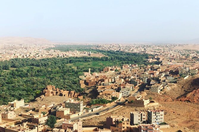 8 Days Private Tour Sahara Desert,Marrakech&Chefchaouen-Morocco - Day 6: Fez guided medina day, with blue door, tanneries, and madrassas