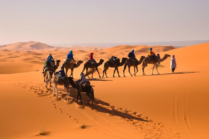 8D Morocco Luxury Private Tour From Casablanca By Imperial Cities - Price and what you really get for $1,130.78