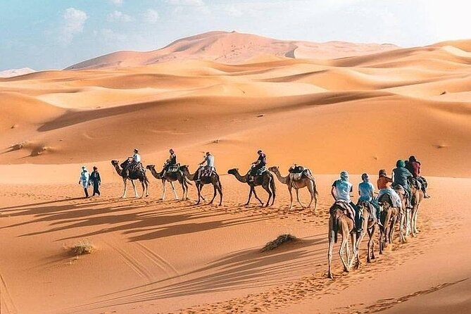 8D Morocco Luxury Private Tour From Casablanca By Imperial Cities - Day 4: High Atlas passes to Merzouga, cedar forests and camel ride into night