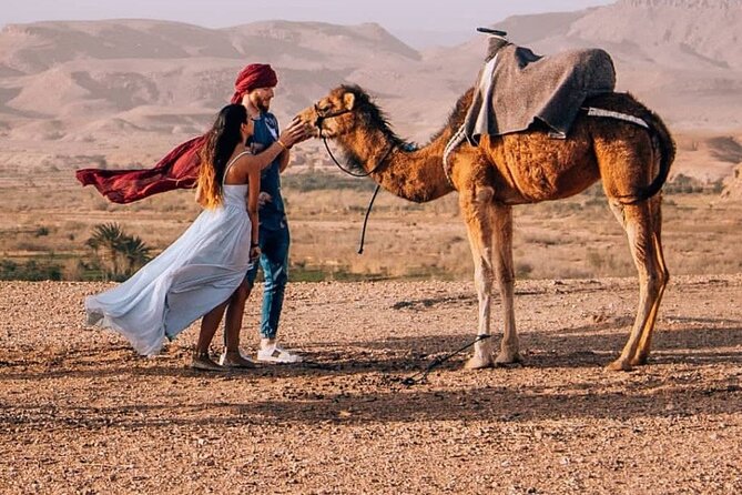 8D Morocco Luxury Private Tour From Casablanca By Imperial Cities - Day 7: Marrakech Medina guide, Bahia and El Badii, and Majorelle Gardens