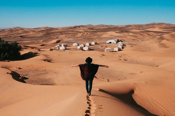 9 Days tour from casablanca to the desert via chefchauen , fez - Day 5 Merzouga desert day: Ifrane, cedar forest monkeys, Ziz Valley, dunes, and camp dinner