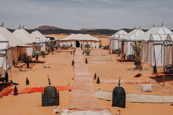 9 Days tour from casablanca to the desert via chefchauen , fez - Day 6 Erfoud fossils, Todra gorge cliffs (300 m high), then Dades Valley