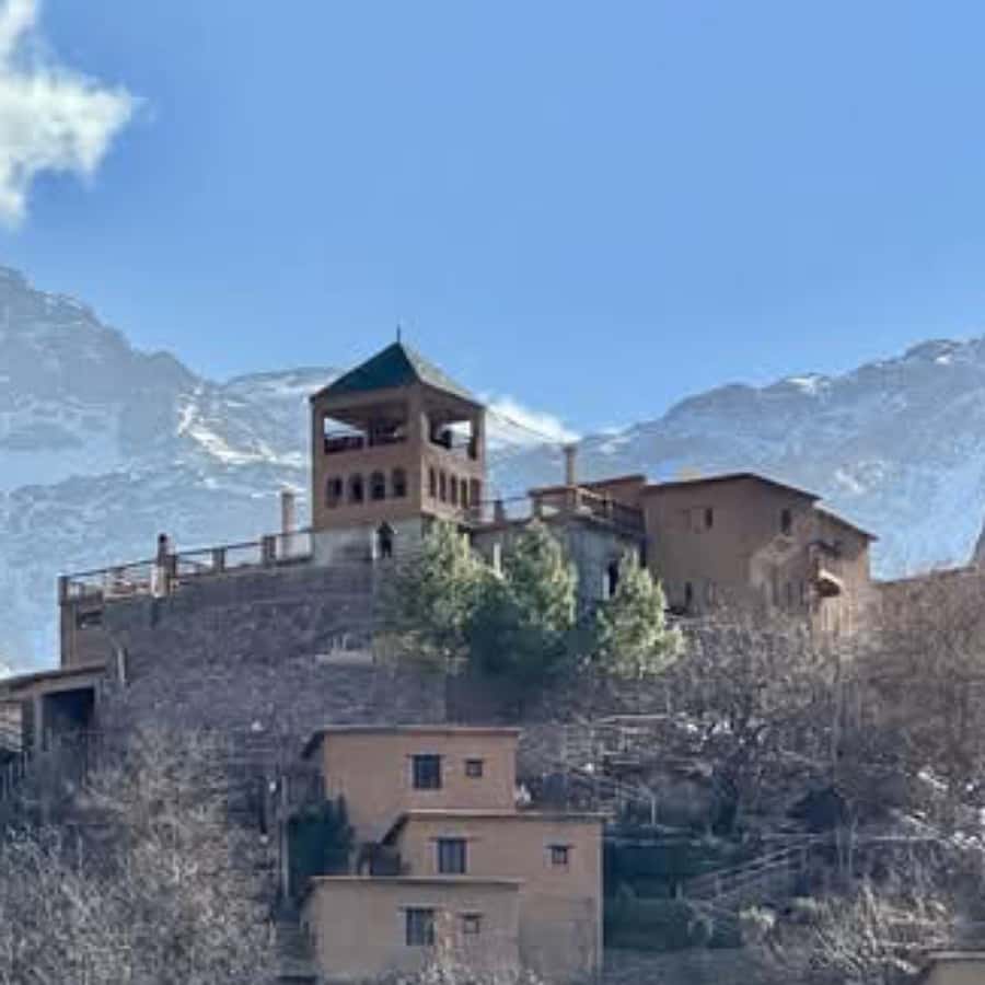 A Day With The Berbers - 3 Valleys Day Trip from Marrakech - Argan oil cooperative and the first real Atlas views