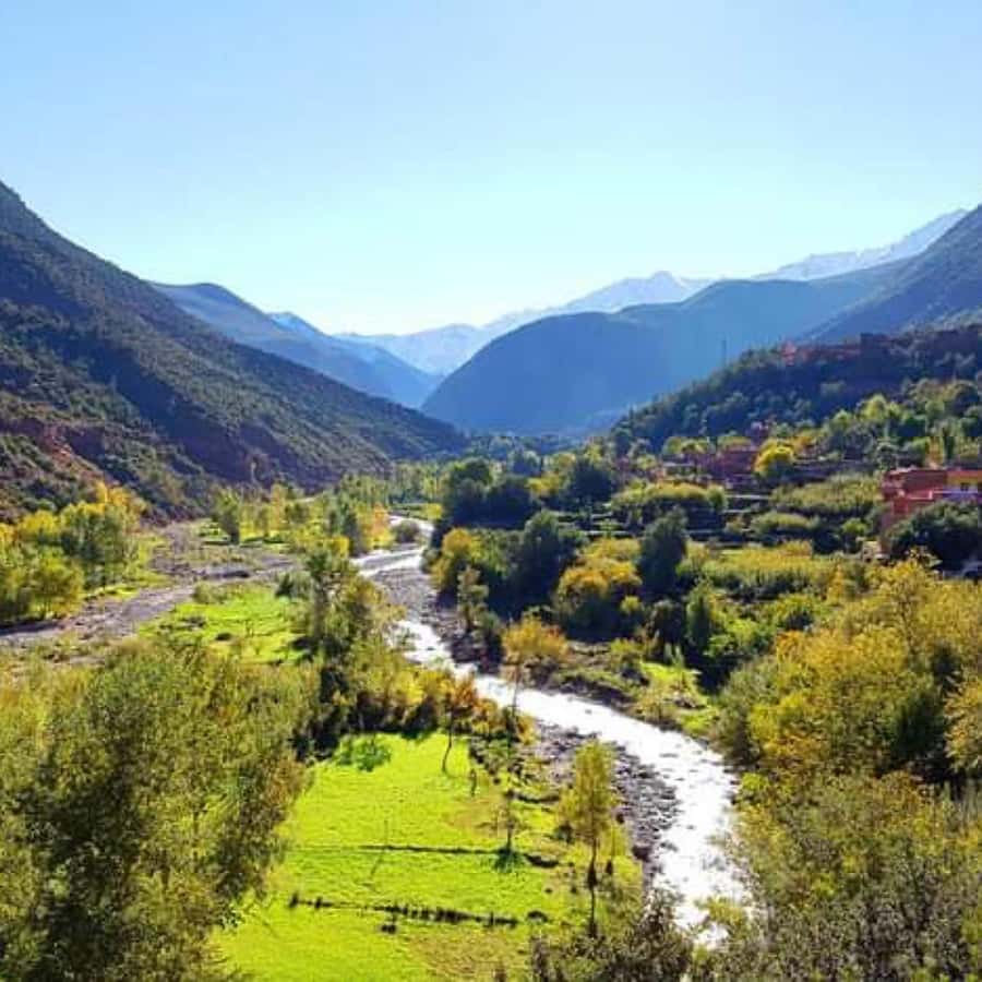 A Day With The Berbers - 3 Valleys Day Trip from Marrakech - Imlil Valley arrival: mint tea welcome and village perspective