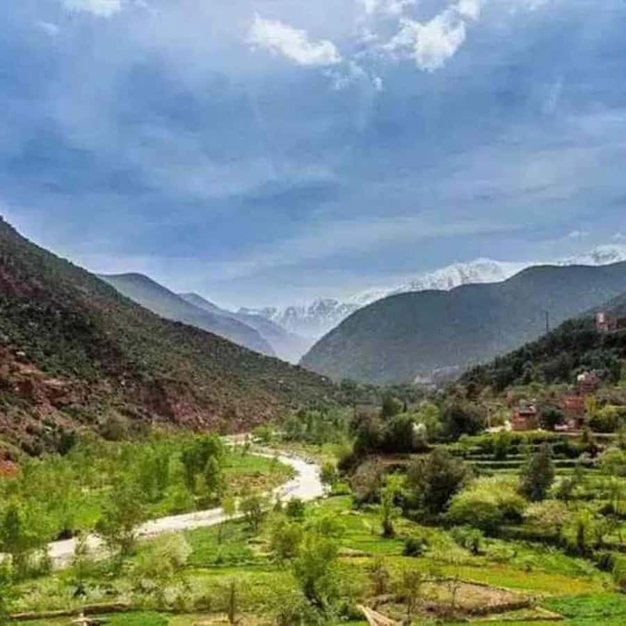 A Day With The Berbers - 3 Valleys Day Trip from Marrakech - Lunch at a family guesthouse: fresh bread by the fire and mountain views