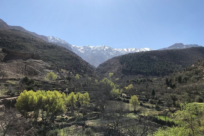 A Journey to Ourika Valley & Waterfall - Watching argan made the old way, in a stop that stays human
