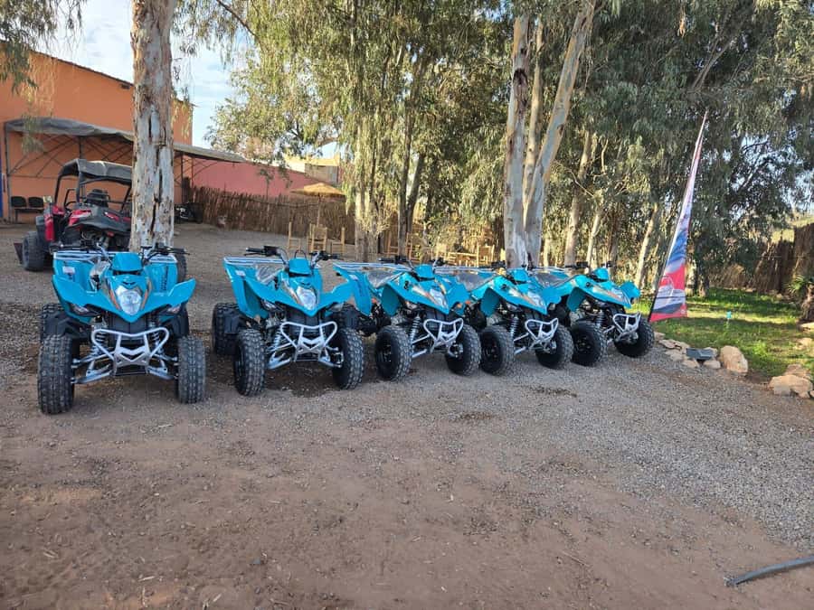 Agadir : 2 h Quad biking excursion with moroccan tea - The two hours: guided self-drive near a national park and into the dunes