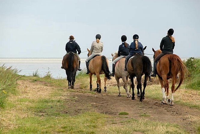 Agadir 2-Hour Horse Riding Experience with Pickup - The Ride at Sunset: The Pace, the Views, and the Best Way to Enjoy It