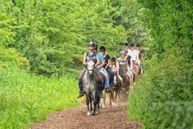 Agadir 2-Hour Horse Riding Experience with Pickup - Quick Practical Tips for a Smooth Ride