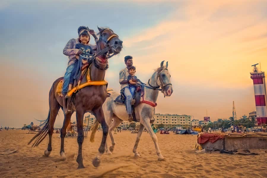 Agadir 2hours Horse Riding visite the flamingo river - Flamingo River: what you can realistically expect