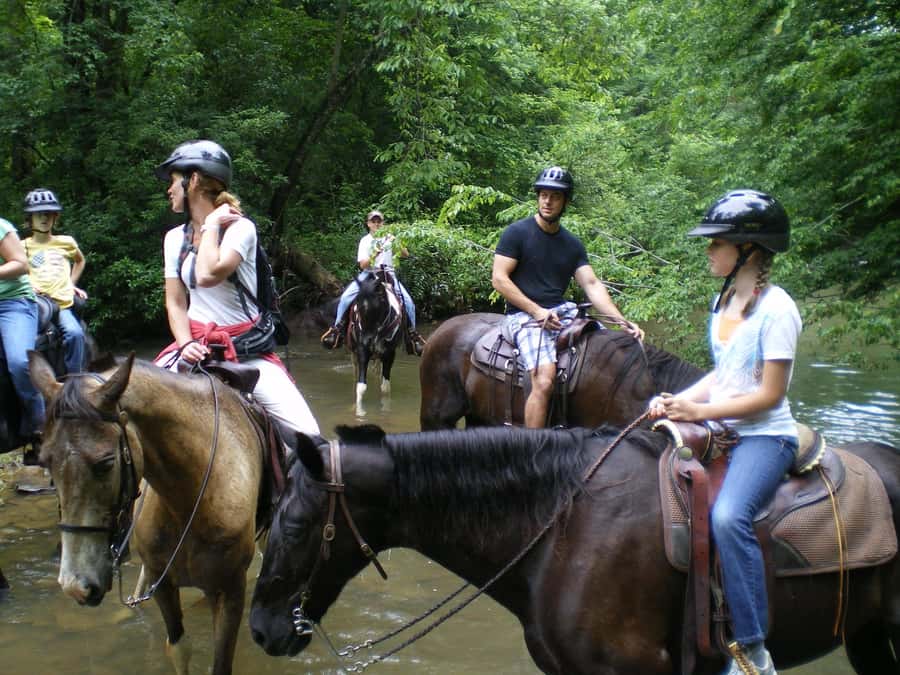 Agadir 2hours Horse Riding visite the flamingo river - Price and value: why $22 can still make sense