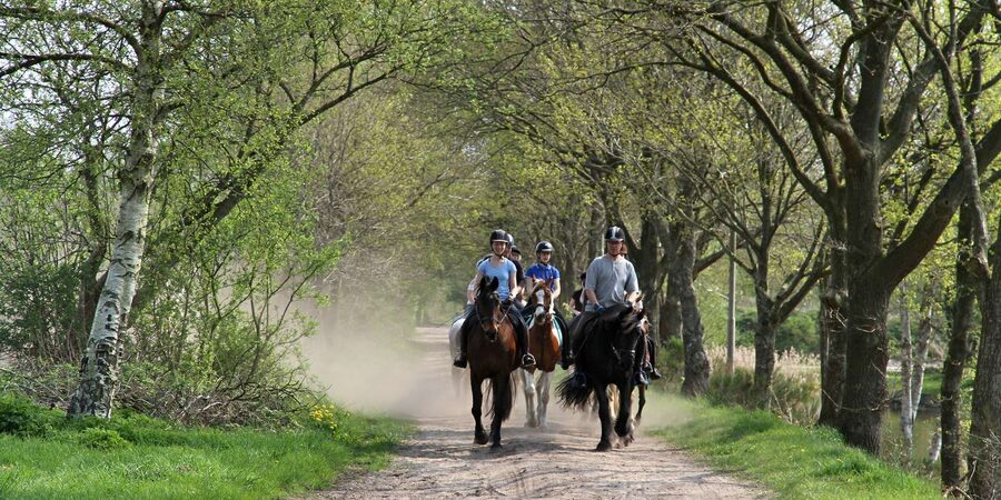 Agadir 2hours Horse Riding visite the flamingo river - Who this tour suits best, and who should choose carefully