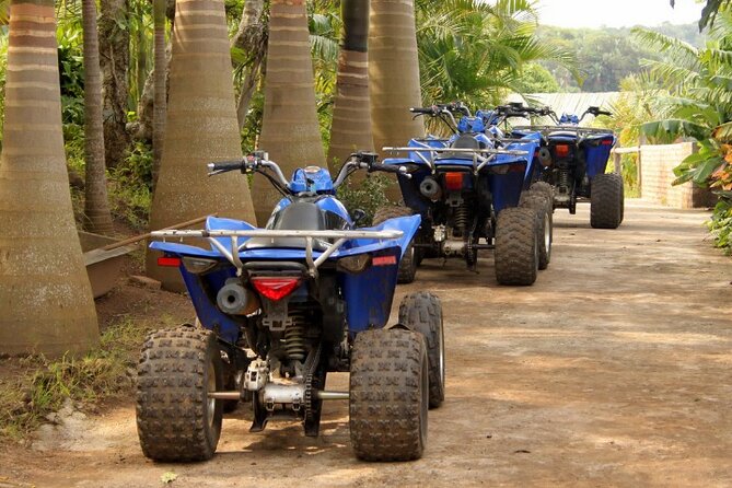Agadir Adventure Tour with Quad Biking Experience - Berber Villages, Argan and Fig Forests, and Dunes That Change the Game