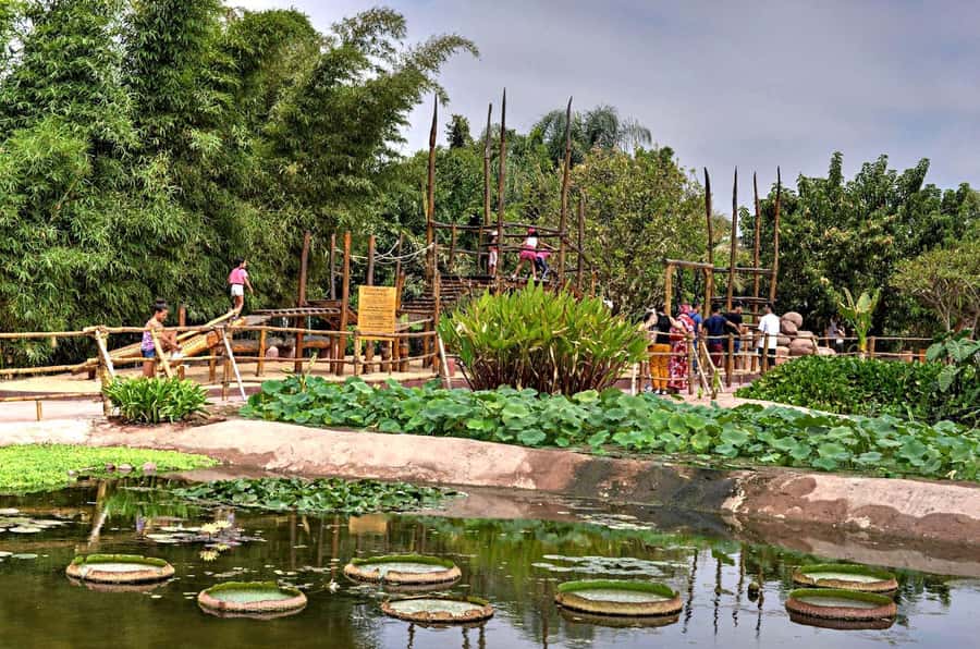 Agadir: Agadir Crocodile Park Adventure - Key things to know before you go