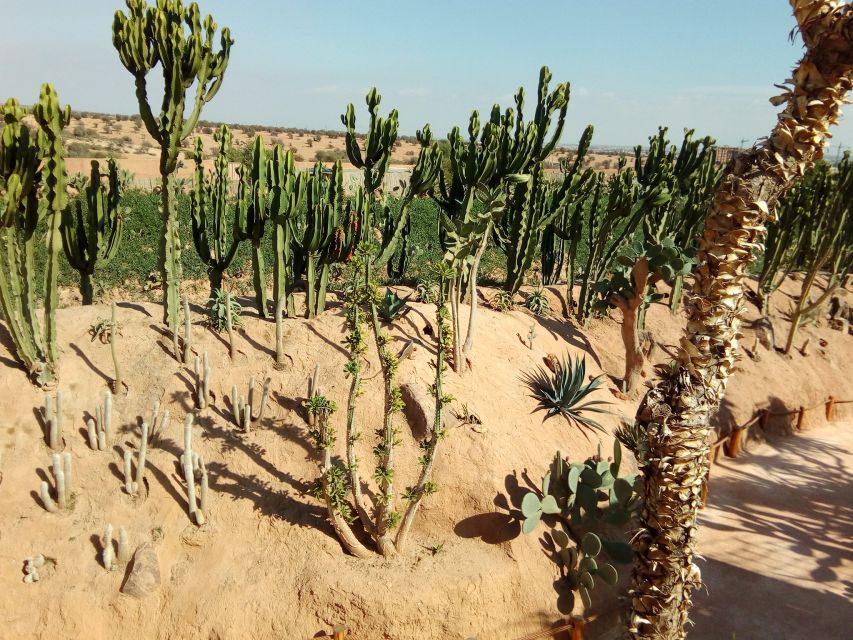 Agadir: Agadir Crocodile Park Adventure - Facilities That Make a 2-Hour Visit Easy