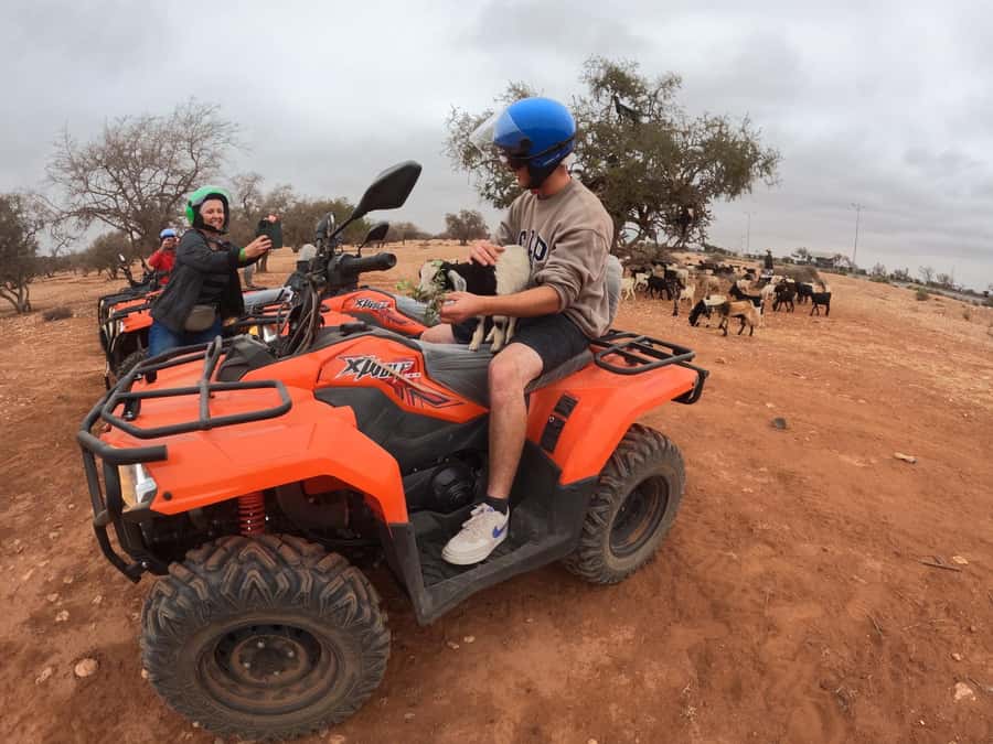 Agadir: Agafay Desert Quad Biking With Goats On The Tree - Agadir to Agafay Desert, the mix of riding and goat spotting