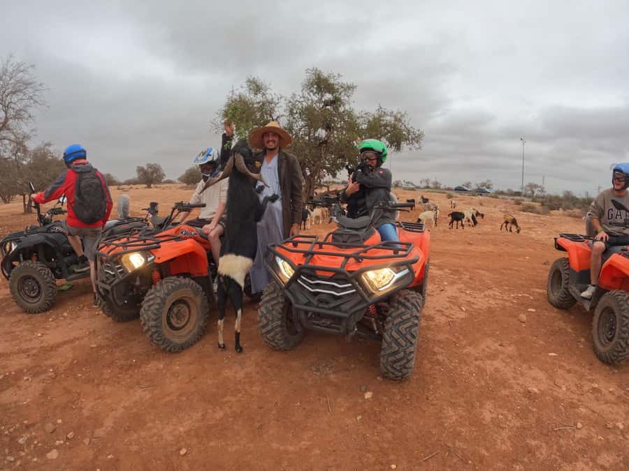 Agadir: Agafay Desert Quad Biking With Goats On The Tree - Price and value for money, why $31 can feel like a steal