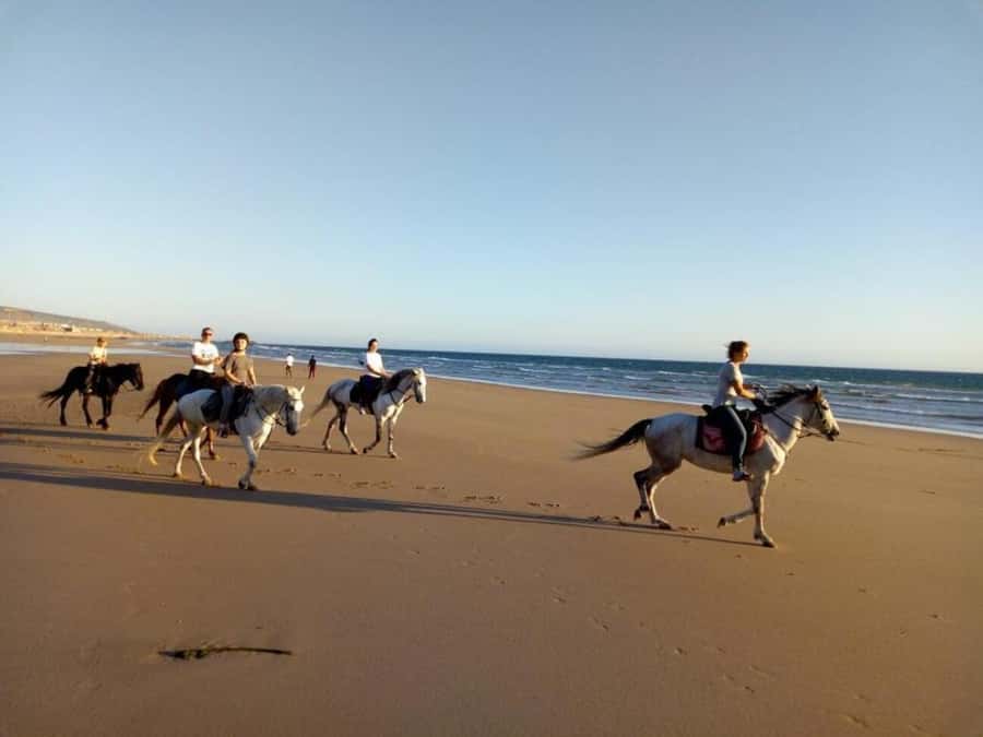 Agadir and Taghazout: 2-Hour Horseback Ride on the Beach - Practical Tips to Make It Feel Effortless