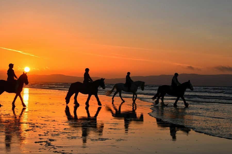 Agadir and Taghazout: 2-Hour Horseback Ride on the Beach - Beach Horseback in Agadir or Taghazout: Why This Ride Feels Special