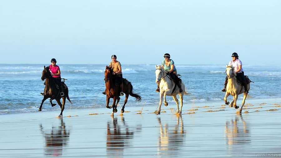 Agadir and Taghazout: 2-Hour Horseback Ride on the Beach - From Stables to شاطئ أورير: What the Flow Looks Like