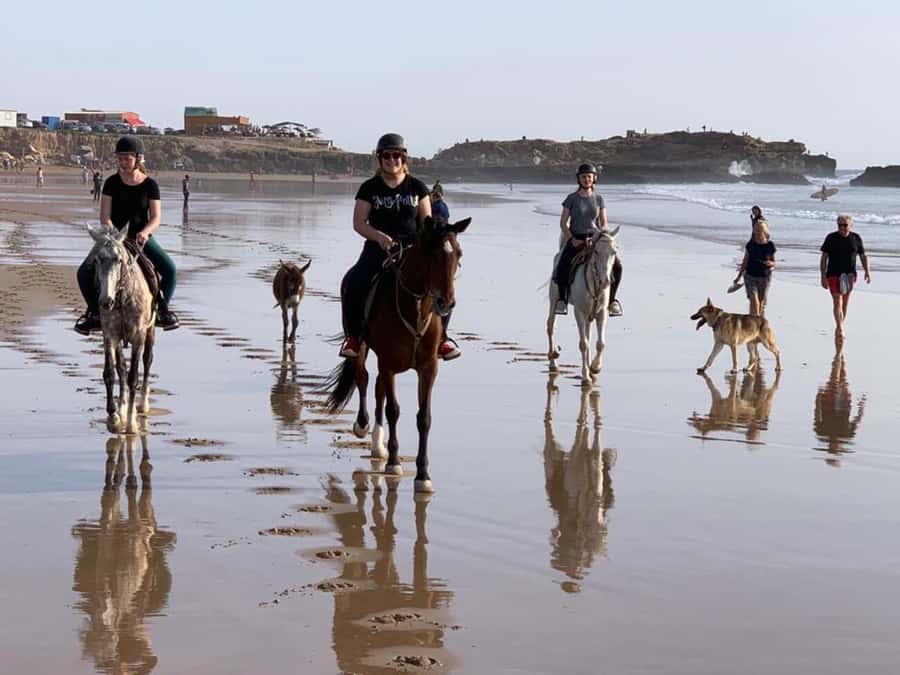 Agadir and Taghazout: 2-Hour Horseback Ride on the Beach - The Guided Beach Ride: Walk, Trot, Canter, and Sometimes More