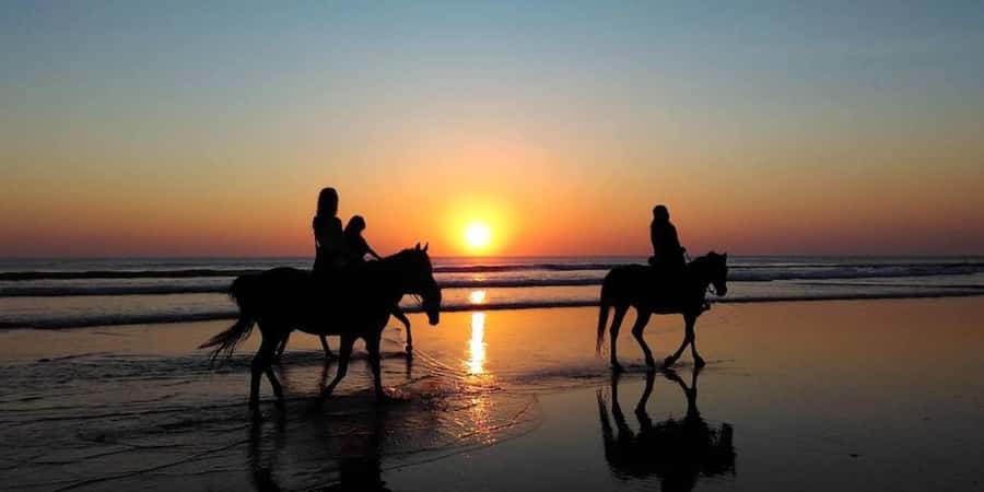 Agadir and Taghazout: 2-Hour Horseback Ride on the Beach - Photos and Videos on the Beach: The Extra That Turns It Into a Memory