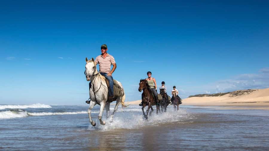 Agadir and Taghazout: 2-Hour Horseback Ride on the Beach - Beginner Friendly, But Not Fake: How They Handle Mixed Skill Levels