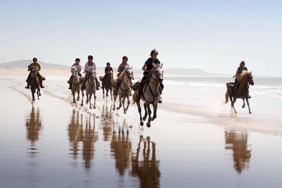 Agadir and Taghazout: 2-Hour Horseback Ride on the Beach - Best Time to Book: Sunrise Light vs Sunset Magic