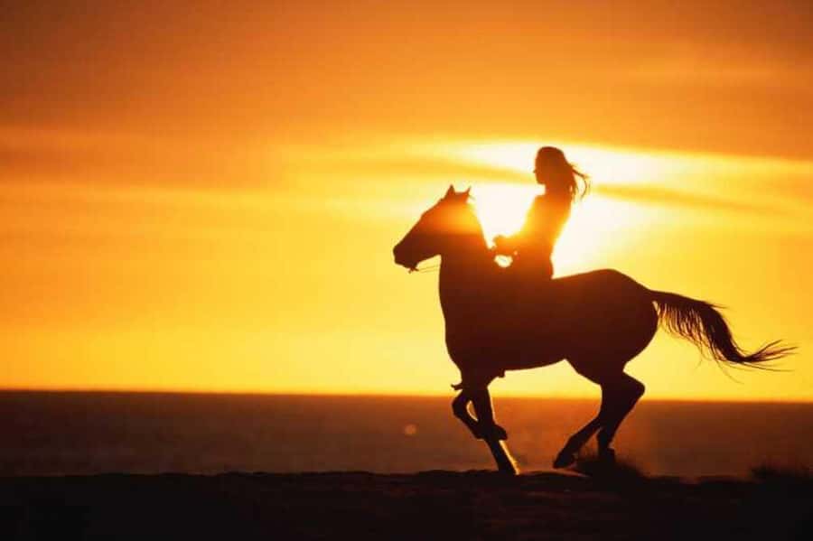 Agadir and Taghazout: 2-Hour Horseback Ride on the Beach - The Pickup and Transfer That Saves Your Day