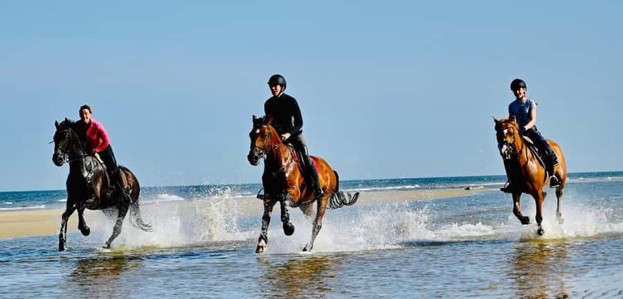 Agadir and Taghazout: Morning Horse Ride on The Beach - Practical tips to make your ride smoother