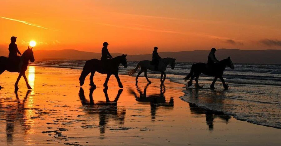 Agadir and Taghazout: Morning Horse Ride on The Beach - Sunrise on the coast: why timing changes the whole trip
