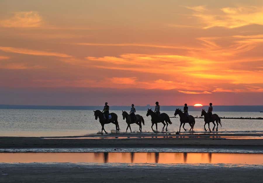 Agadir and Taghazout: Morning Horse Ride on The Beach - Getting on the clock: how the 1h30 ride runs from your hotel