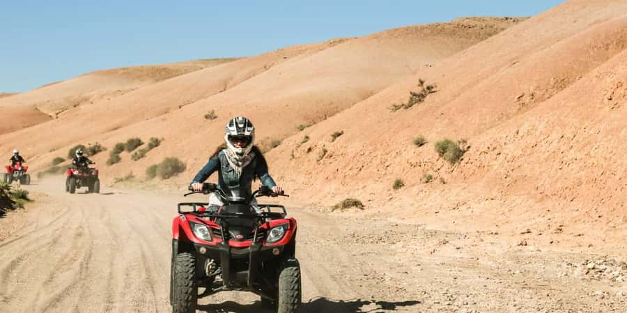 Agadir: ATV Quad Biking and Goats On Argan Trees with Tea - Goats in argan trees: the animal stop that changes the mood