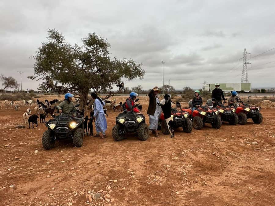 Agadir: ATV Quad Biking and Goats On Argan Trees with Tea - Value for around $19: what’s included, what isn’t