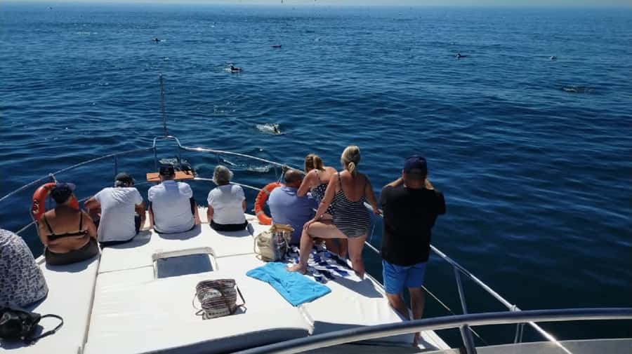 Agadir: Boat Trip with Fishing, Swimming, and BBQ Lunch - Lunch on Board: Moroccan BBQ Fish, Salad, and Mint Tea