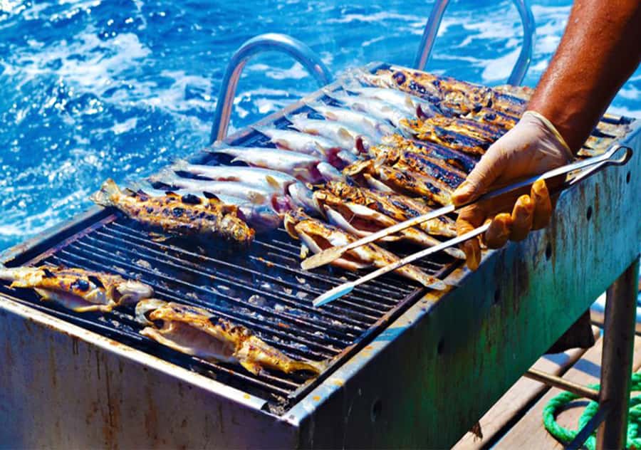 Agadir: Boat Trip with Fishing, Swimming, and BBQ Lunch - Itinerary Timing That Keeps Your Day Flexible