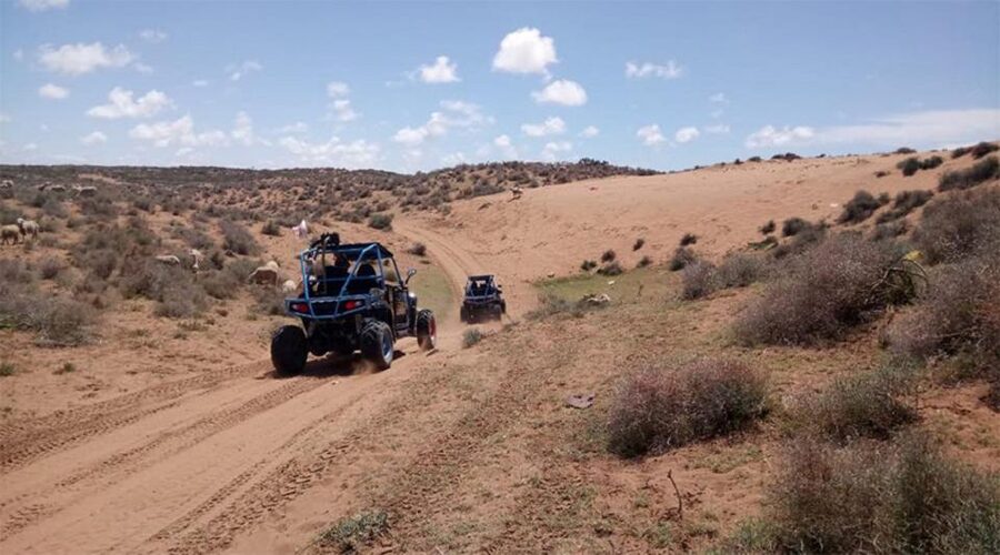 Agadir: Buggy Safari Adventure - Who This Agadir Buggy Safari Fits Best