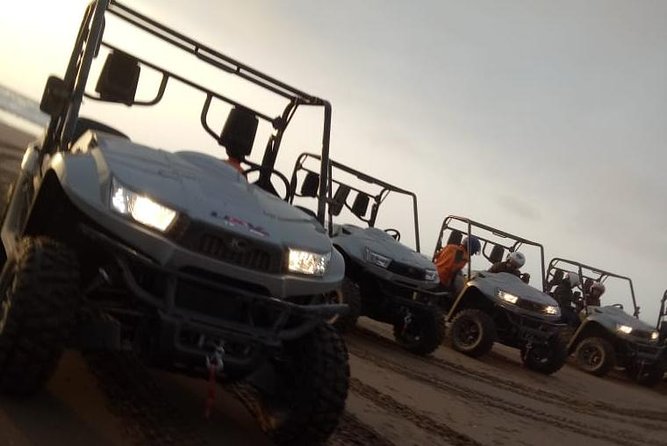 Agadir Buggy safari / off road Experience Half Day | Adventure & Connections ® - Forest and beach views: the calm contrast to sand
