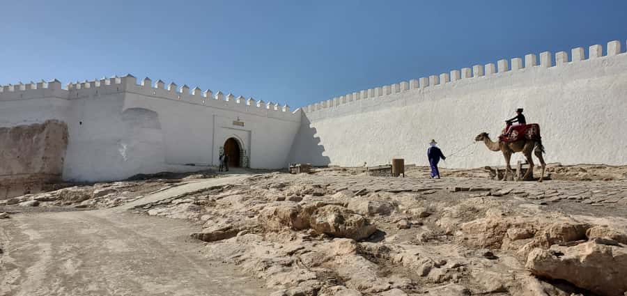 Agadir: Cable Car Ticket and Guided City Tour - Argan oil cooperative or factory: how to get value from the shopping time
