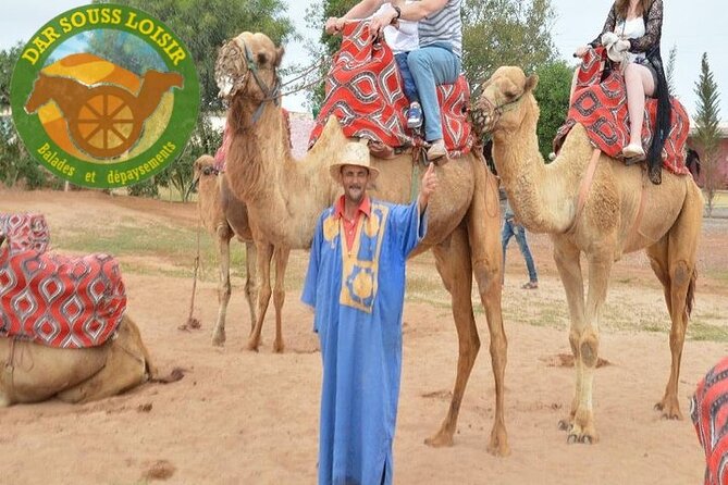 Agadir Camel Ride Experience - Key Things To Know Before You Go