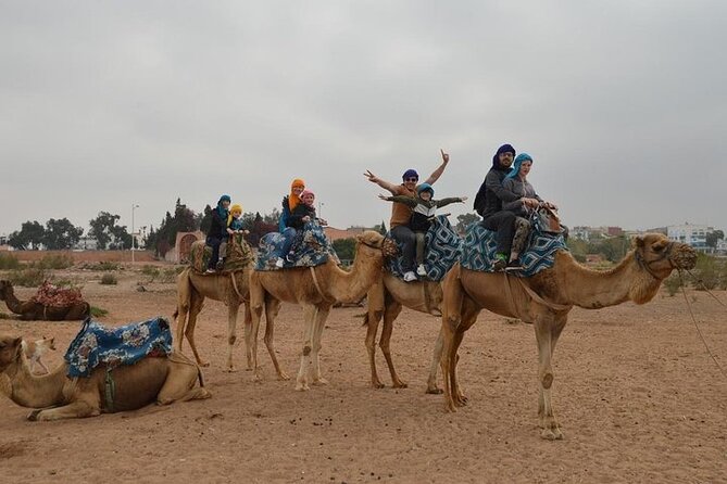 Agadir Camel Ride Experience - Where the Camel Trek Starts Near Agadir