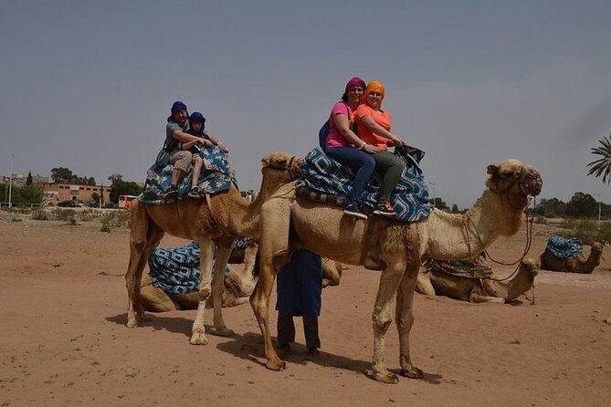 Agadir Camel Ride Experience - Riding Through Aghroud Bensergao Village