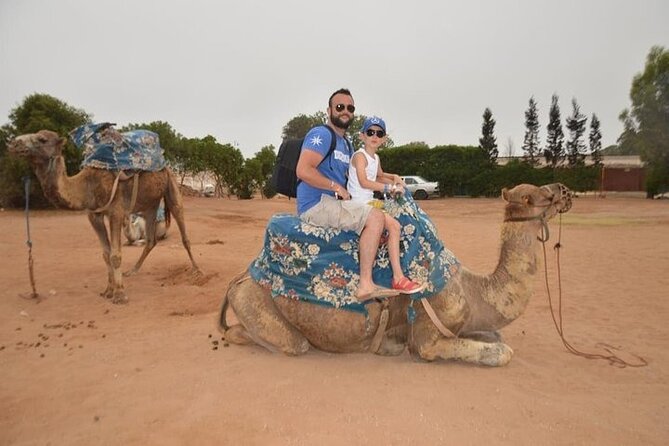 Agadir Camel Ride Experience - Eucalyptus Groves and the Countryside Pace