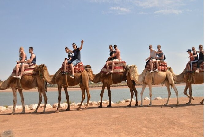 Agadir Camel Ride Experience - Price and Value for a $42.97 Agadir Excursion