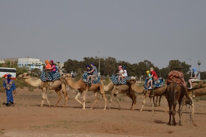 Agadir Camel Ride Experience - Booking Smarts: Choosing Time Slots That Match Your Day