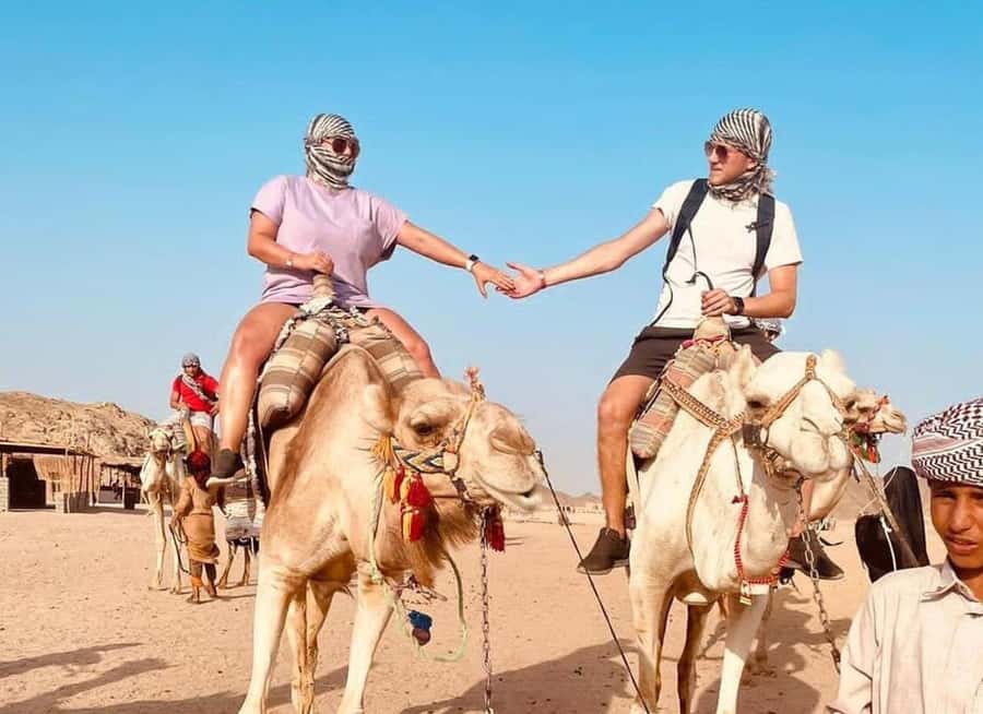 Agadir: Camel Ride Experience With Dinner Option - Key highlights to notice