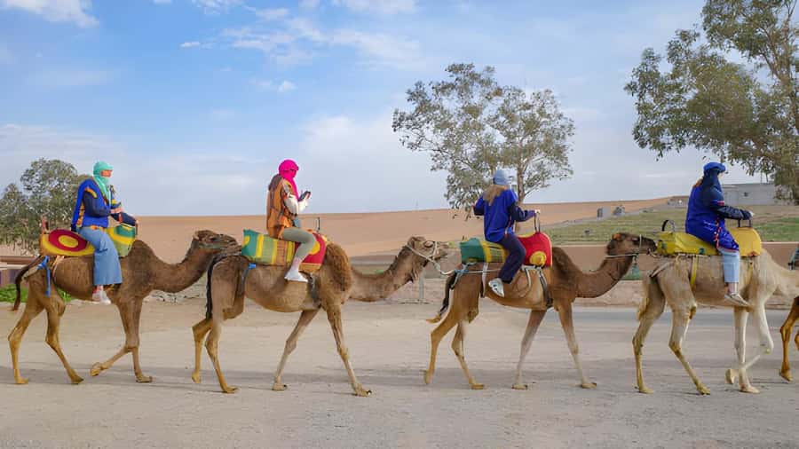 Agadir: Camel Ride Experience With Dinner Option - Why a camel ride by the Souss River feels like a real Agadir break