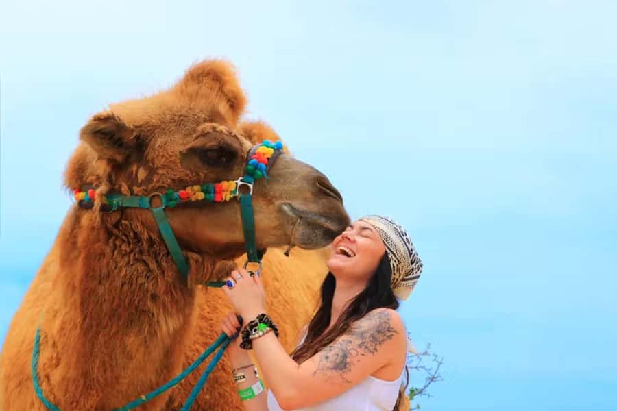 Agadir: Camel Ride Experience With Dinner Option - Camel time through eucalyptus trees and along the Souss River
