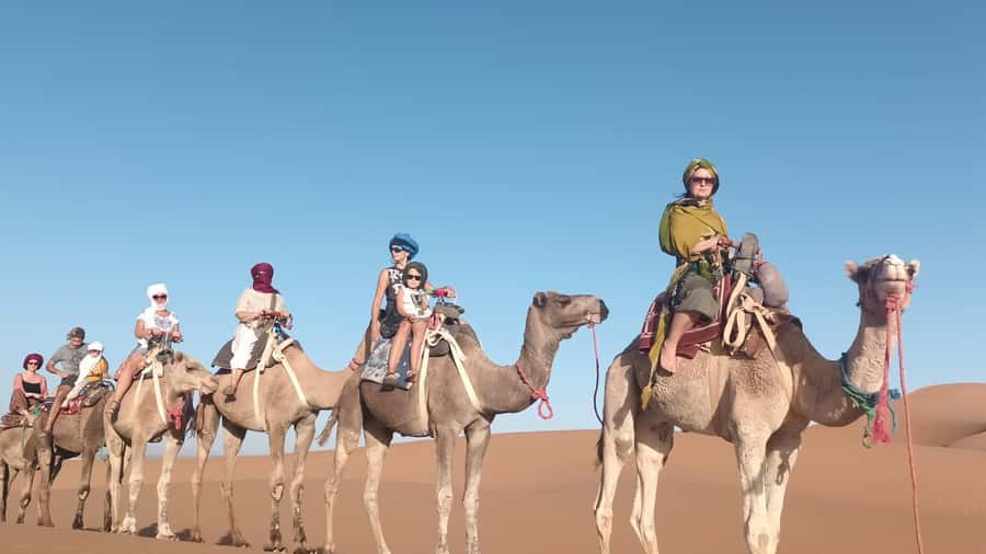 Agadir: Camel Ride Experience With Dinner Option - Wildlife chances near the Souss River, including flamingos in season